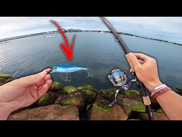 SALTWATER BANK FISHING MAYHEM! -- (This Is My NEW FAVORITE LURE!)