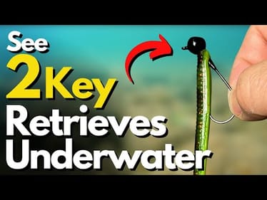 Master These 2 Shaky Head Retrieves For More Bass (Side-by-Side Comparison)