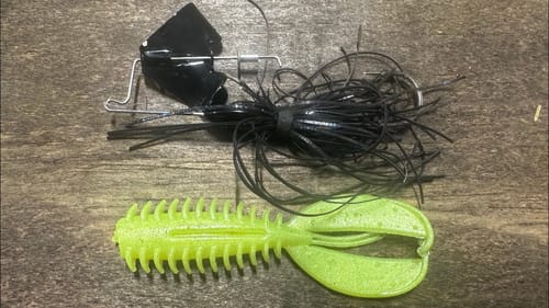 The Fall Buzzbait Technique I’ve Kept Secret Since I Started This YouTube Channel…