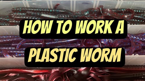 How To Put Action On A Plastic Worm…For Beginning Anglers