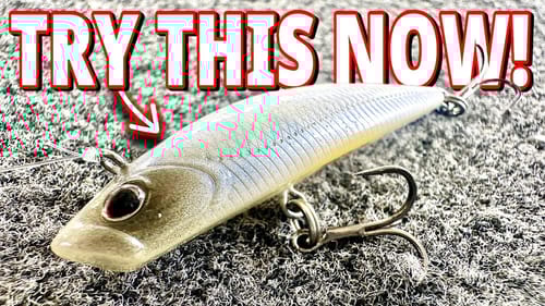 90% Of Anglers Fish The Finisher Wrong! Use These Two Retrieves