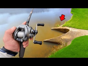 Fishing For GIANT Spring BASS In Small Ponds! (Bank Fishing)