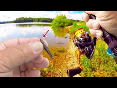 If You Like To Eat Bream THIS Bait Is A Bream Catching Machine!