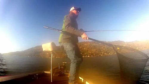 Big Swimbait Bass!