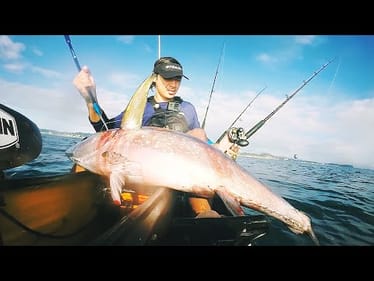 Lucky Tuna Through So Many Sharks