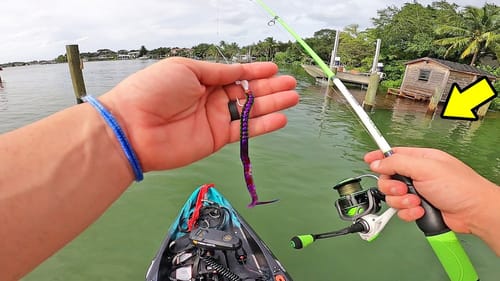 Freshwater Lures in SALTWATER Challenge! (Surprise Catch!)