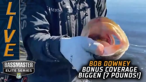 St. Johns River: Bob Downey's big 7 pounder on Day 1