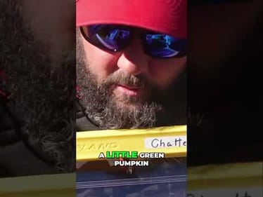 Essential Colors for Chatterbait: Black, Blue, and More!