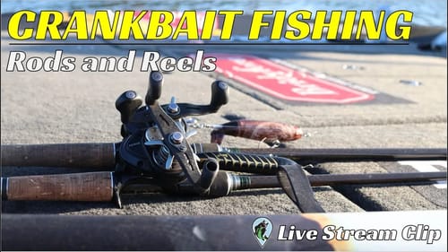 The Best Rods and Reels for Crankbait Fishing | FTM Live Stream #73