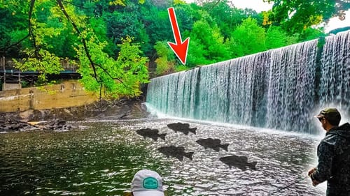 We Found A Spillway Waterfall LOADED With Fish!