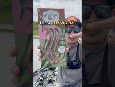 Catching Fish on a $1 Toy Worm from Target #fishing