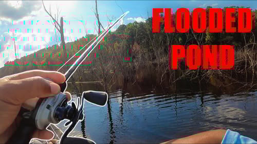 JON BOAT Pond Hopping Fishing FLOODED TIMBER POND