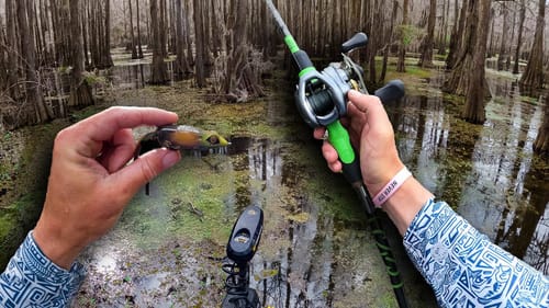 Exploring DEEP Into A Fish Infested Flooded Forest -- On The Border (Part 1)