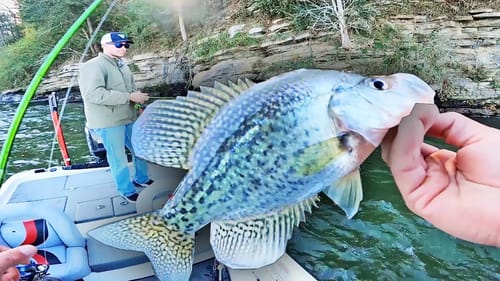 CRUSHING CRAPPIE ON BLUFFS! THEY LOVE THIS JIG AND SETUP!!