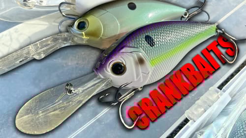 Things NO ONE Tells you about Deep CRANKBAIT Fishing
