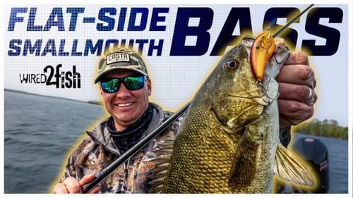 Flat-Sided Cranking Smallmouth | A Jerkbait Alternative