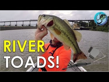 My Best Summer Pattern for River Bass | Bass Fishing Strategies