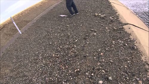 Non Stop Action (Striper Fishing California Aqueduct)