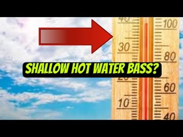 Why Bass Move Shallow In The Hottest Part Of Summer