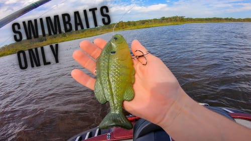 HUGE Swimbait Only Tournament! Swimbait Universe Gathering Tournament