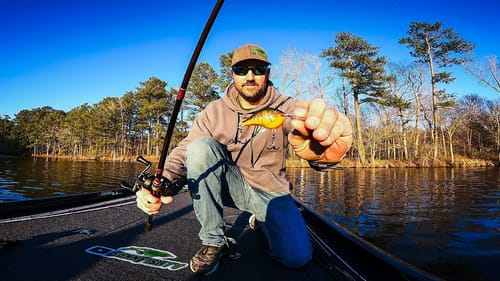 Bass DESTROY This LURE During the Pre Spawn!! || Pre Spawn Bass Fishing