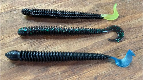The Forgotten Worm I’ve Won Over $300,000 Dollars On…