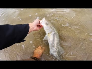 First Time BEACH FISHING and Exploring NEW WATERS! (Saltwater Fish Hunt)