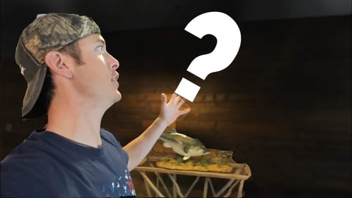 Revealing NEW Fishing Wall Build! Inspired by Old Cabin