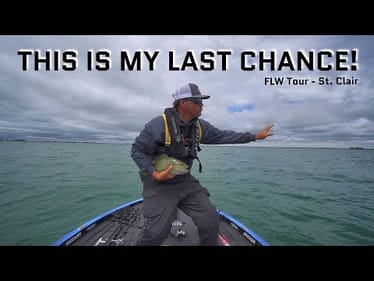 This is my last CHANCE!