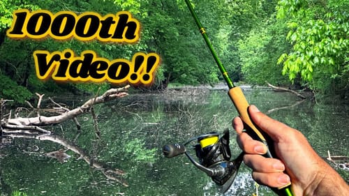 Simple Exciting Bank Fishing (1000th Video)