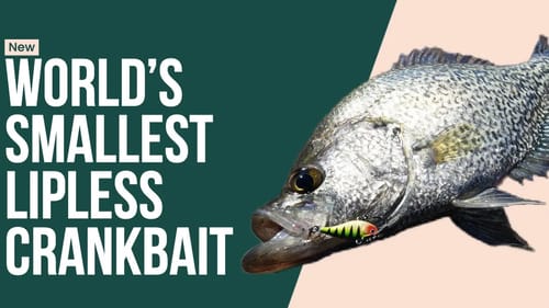 World's Smallest Lipless Crankbait for GIANT Black Crappie