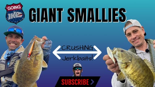 GIANT SMALLIES CRUSHING JERKBAITS!