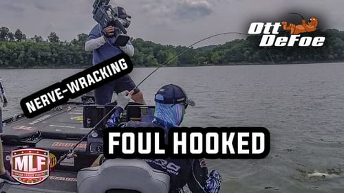 Nerve-wracking catch!