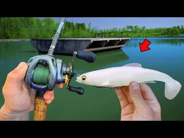 Fishing BIG Swimbaits For GIANT Pond BASS! (Bank Fishing)