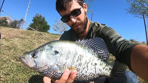 SUPER CRAPPIE LUNCH BREAK!!