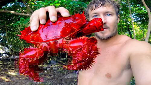 Rare King Crab & Coconut Crab - Eating Delicious Seafood