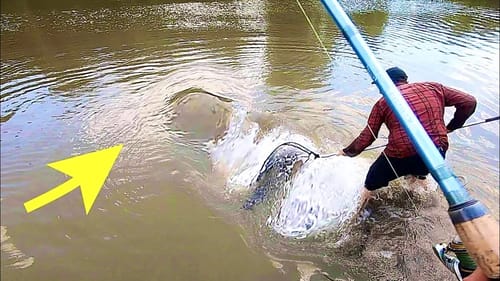 The BIGGEST FISH in the RIVER!!! (INTENSE)