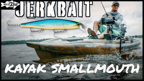 Jerkbait Fishing Smallmouth Bass from a Kayak