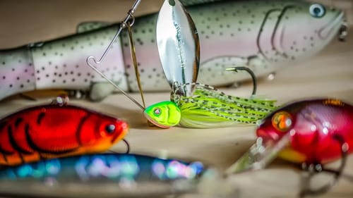 Top 5 Baits For Early Spring Bass Fishing