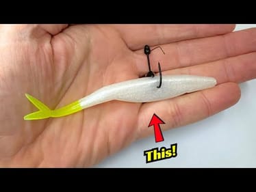 90% Of Bass Anglers Wacky Rig This Bait!