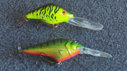Crankbaits For Beginners | How To | Bass Fishing
