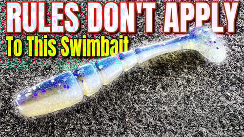 The Rules DON'T Apply To This Swimbait