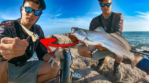 you're still not using this lure??? texas jetty speckled trout