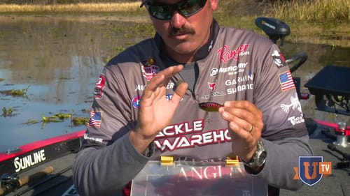 Catching Bass on Lipless Crankbait - Linter Fishing Secrets