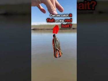 Catching a Bass on Red Bait in Muddy Water #bassfishing #fishing