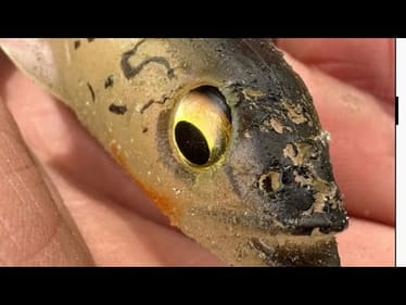 Bass Chew THIS Lure Up In March…