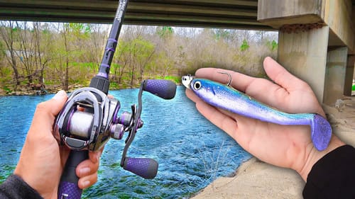 Fishing BIG Swimbaits for GIANT Bass!