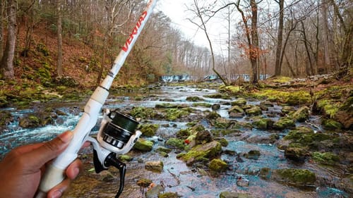 WINTER Creek Fishing With LIVE BAIT (NEW SPECIES)