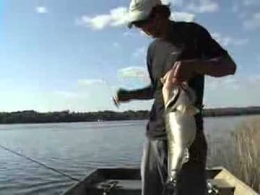fish, 3 4 2009  huge 10 pounder flip