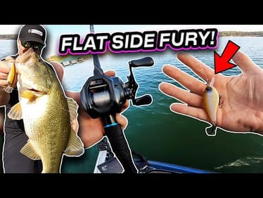 Late Fall to Early Winter Bass Fishing: Crushing It with Flat-Sided Crankbaits!
